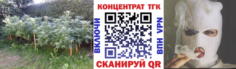 ТГК жижа как найти Родники