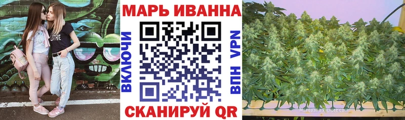 это как зайти Родники Каннабис индика